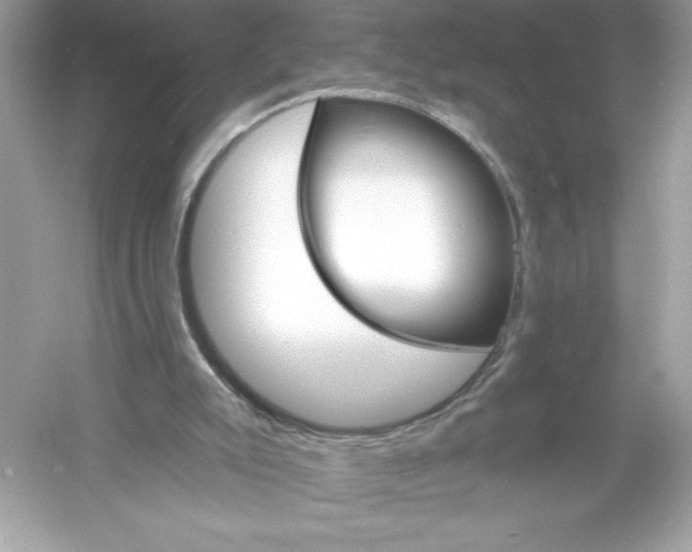 X0000053000007200508051146