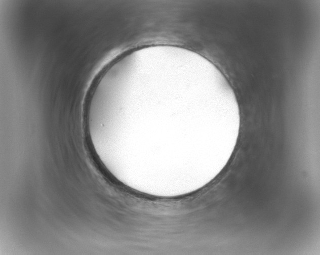 X0000053000008200508051146