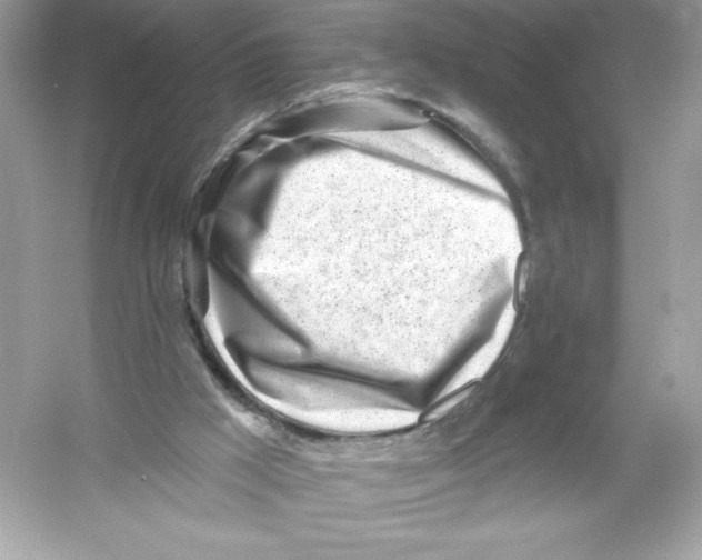 X0000053000009200508051146