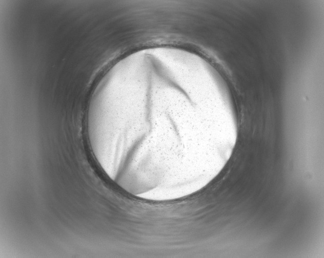 X0000053000010200508051146