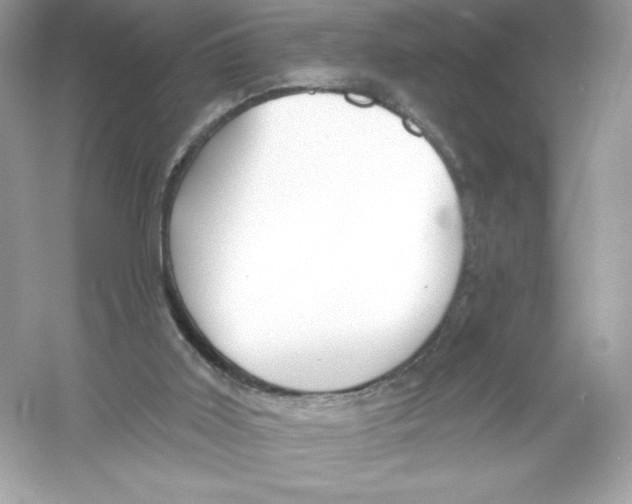 X0000053000011200508051146