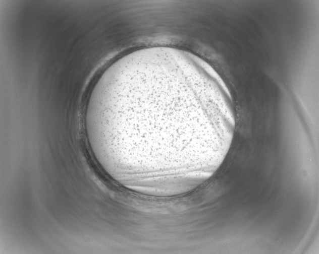 X0000053000012200508051146