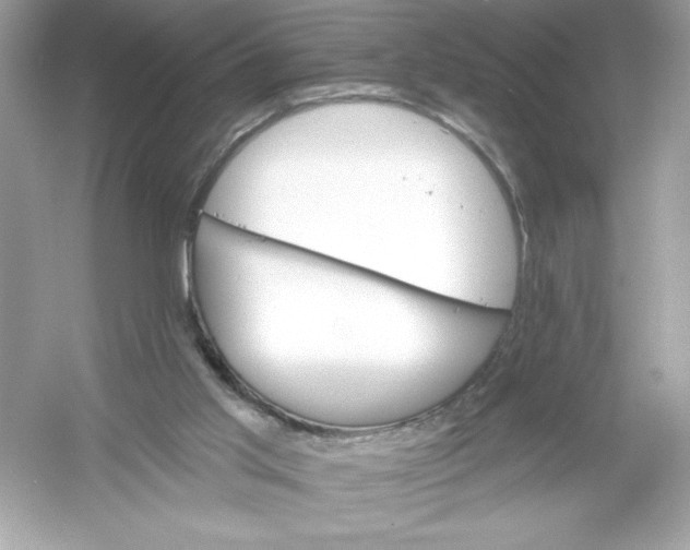 X0000053000013200508051146