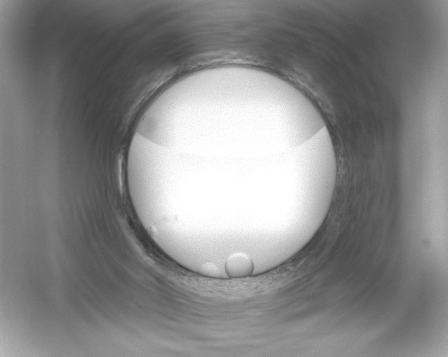 X0000053000014200508051146