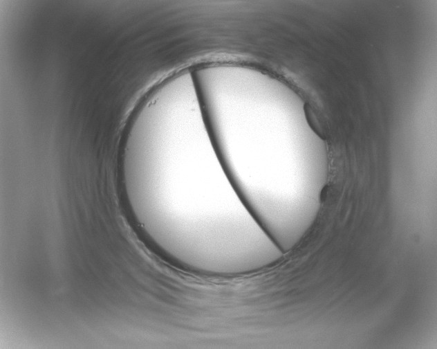 X0000053000015200508051146