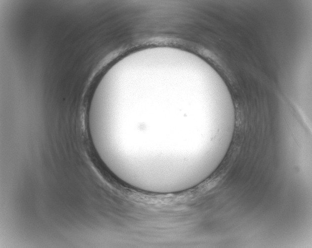 X0000053000016200508051146