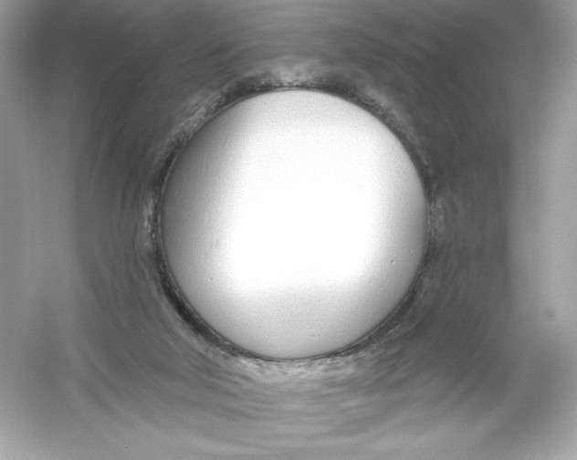 X0000053000018200508051146