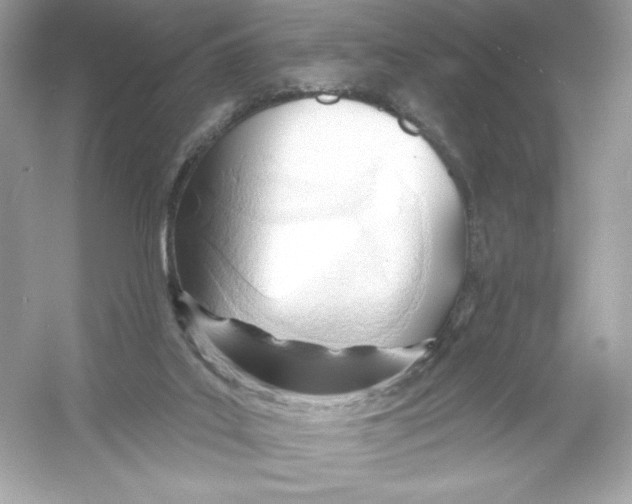 X0000053000019200508051146