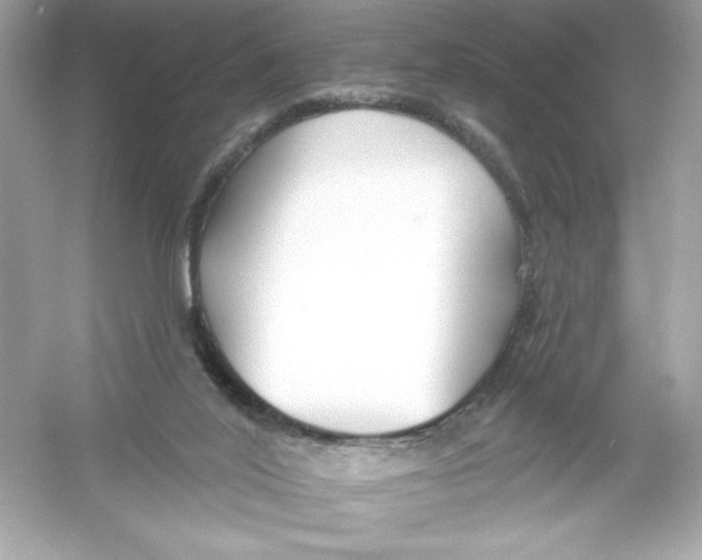 X0000053000020200508051146