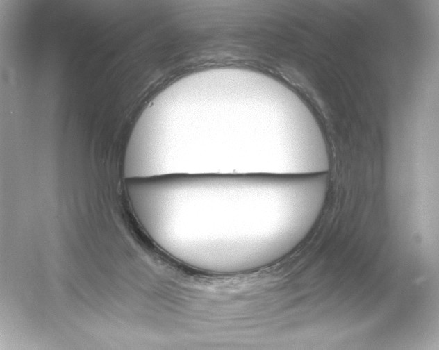 X0000053000021200508051146