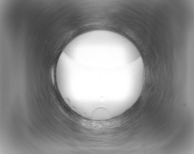 X0000053000022200508051146