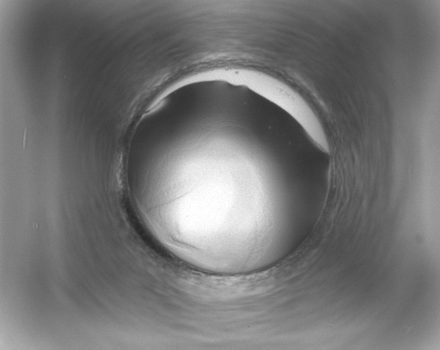 X0000053000023200508051146