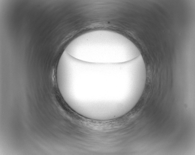 X0000053000024200508051146