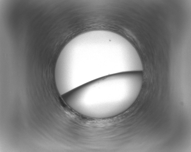 X0000053000025200508051146