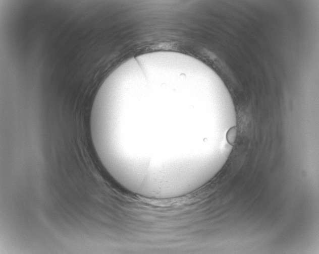 X0000053000026200508051146