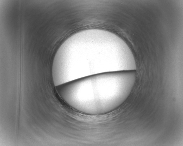 X0000053000027200508051146