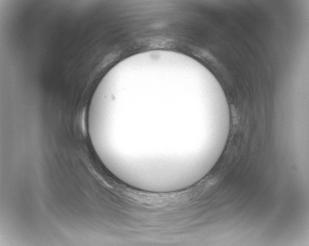 X0000053000028200508051146