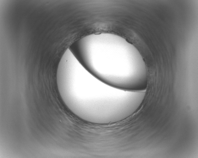 X0000053000029200508051146