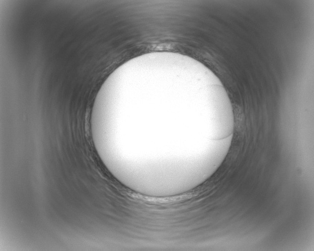 X0000053000030200508051146