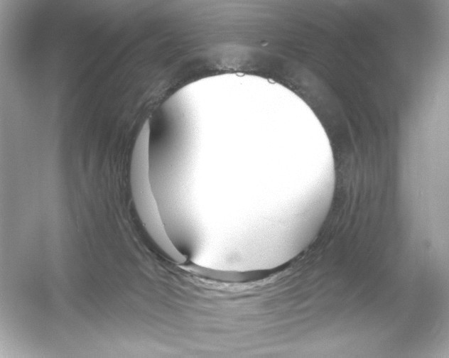 X0000053000031200508051146