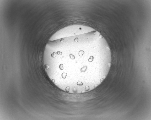 X0000053000034200508051146