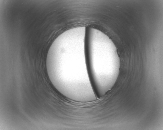 X0000053000035200508051146