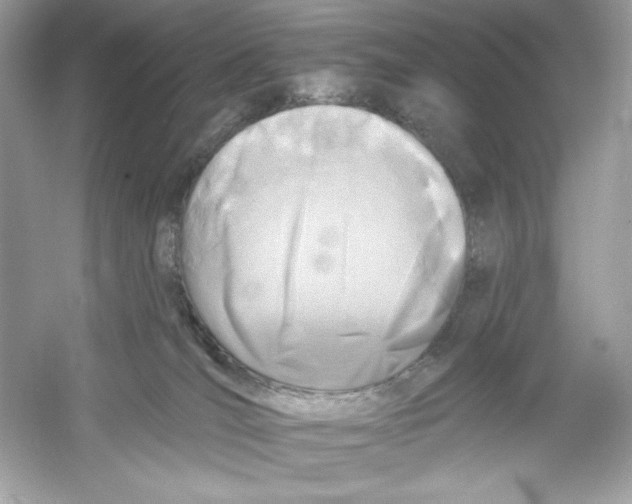 X0000053000036200508051146