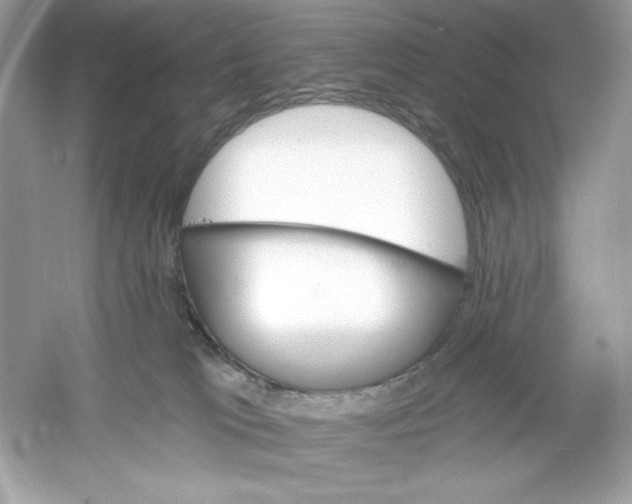 X0000053000037200508051146