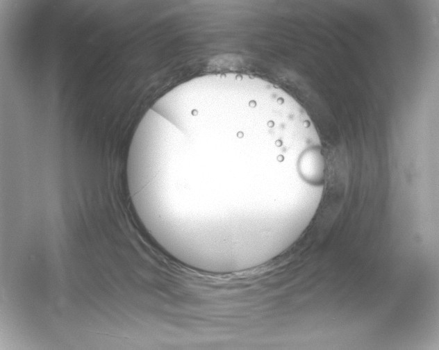 X0000053000038200508051146