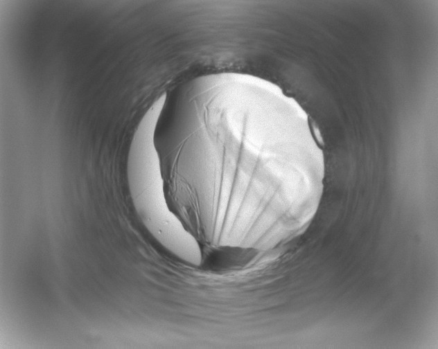 X0000053000039200508051146