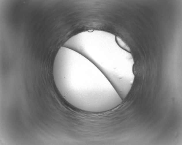 X0000053000040200508051146