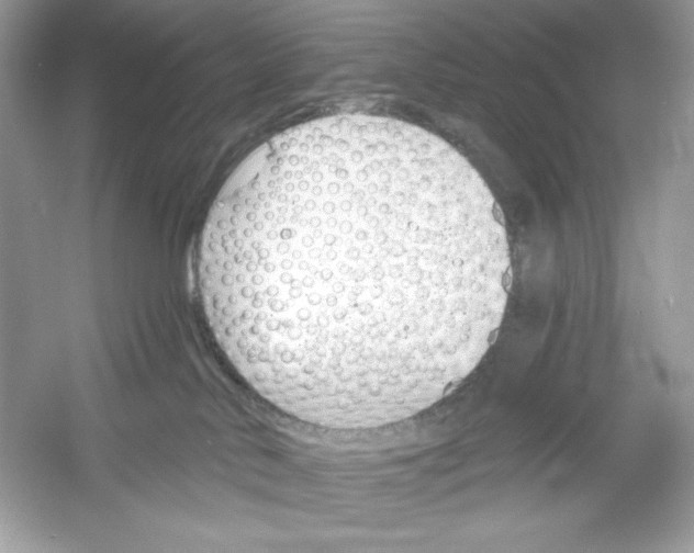 X0000053000042200508051146