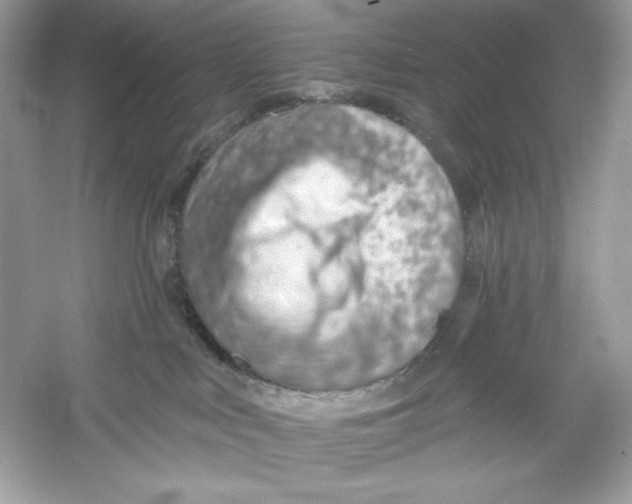 X0000053000043200508051145