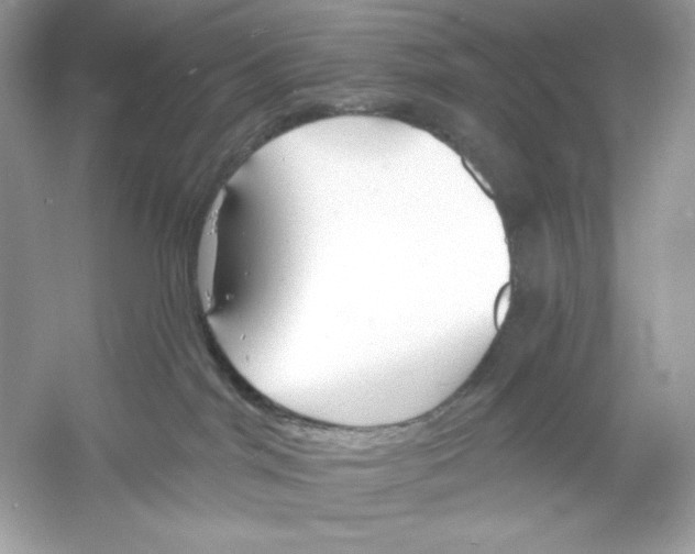 X0000053000044200508051145