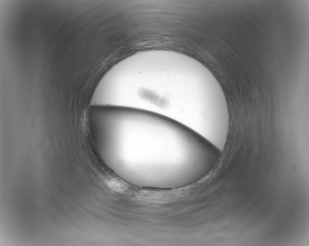 X0000053000045200508051145