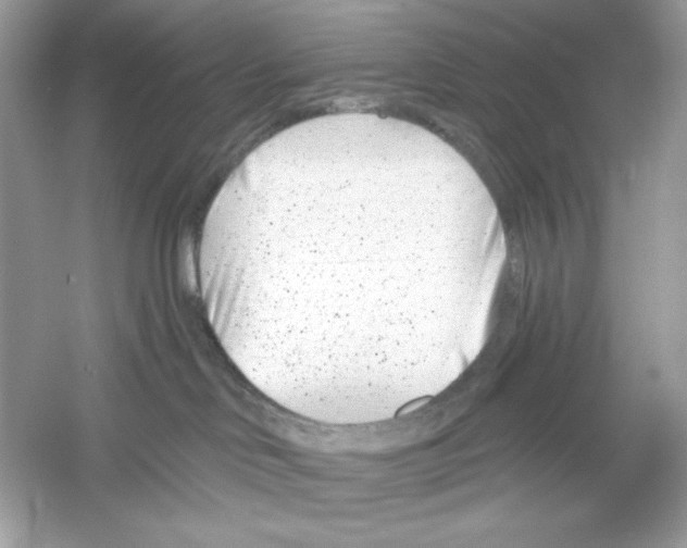 X0000053000046200508051145