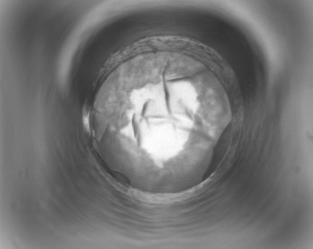 X0000053000047200508051145