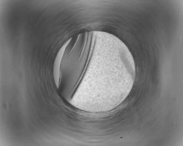 X0000053000048200508051145