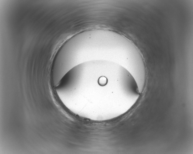 X0000053000049200508051145