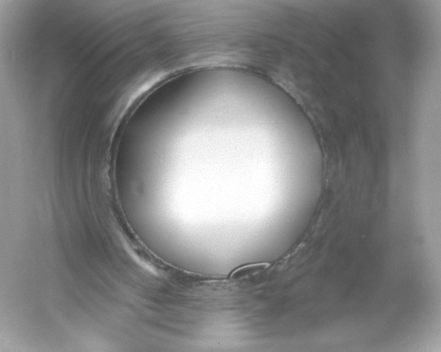 X0000053000050200508051145