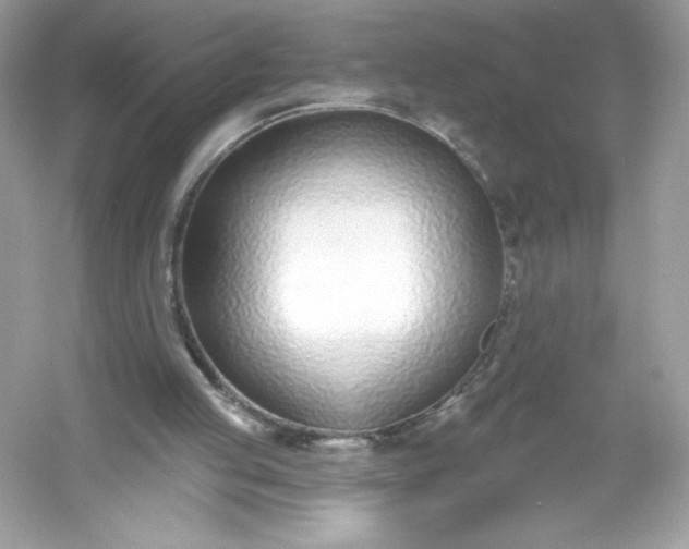 X0000053000053200508051145