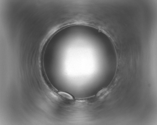 X0000053000055200508051145