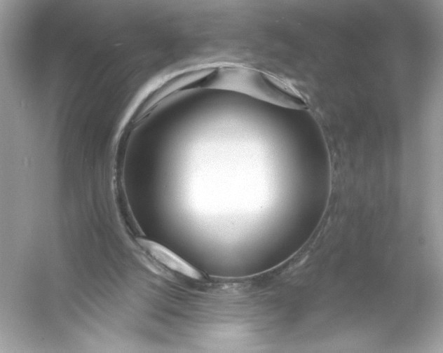 X0000053000056200508051145