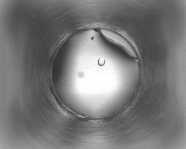 X0000053000057200508051145