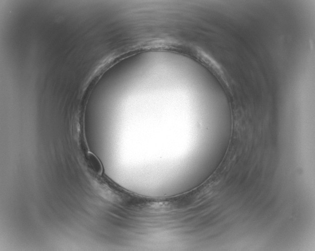 X0000053000059200508051145