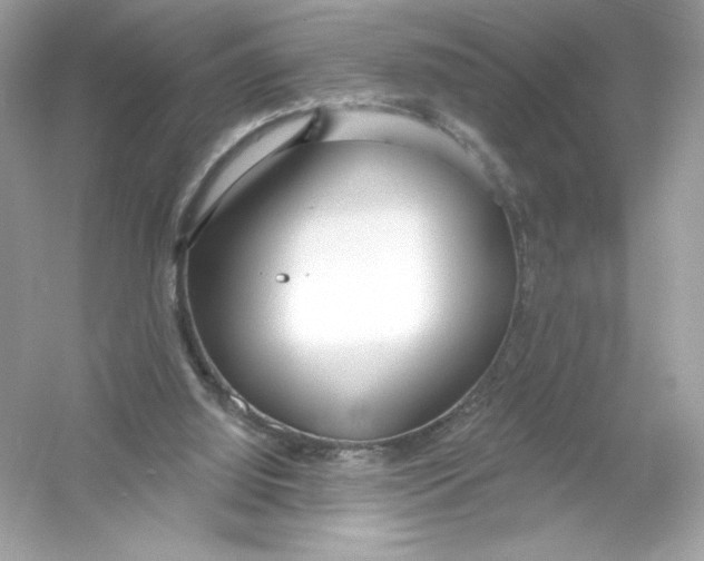 X0000053000060200508051145