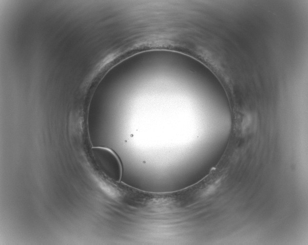 X0000053000063200508051145