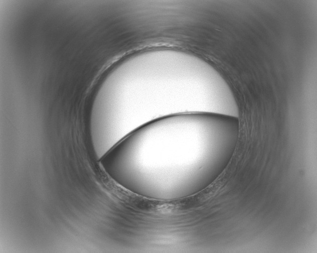 X0000053000064200508051145