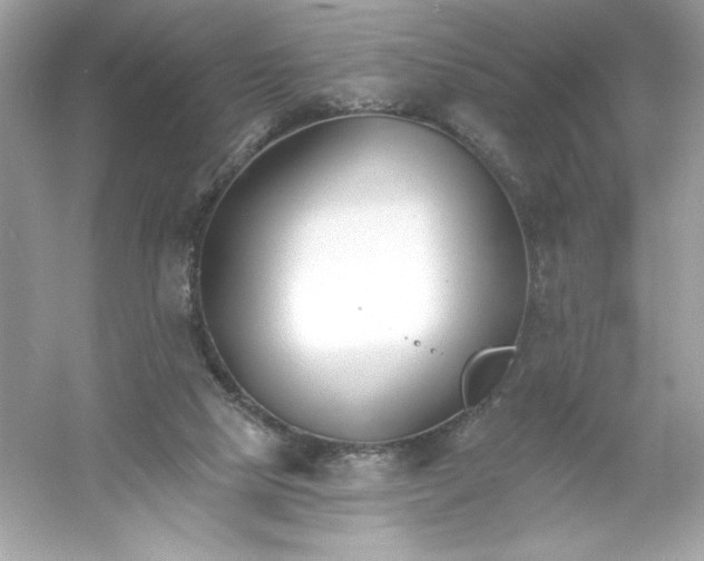 X0000053000065200508051145