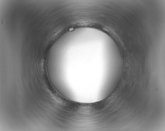 X0000053000066200508051145